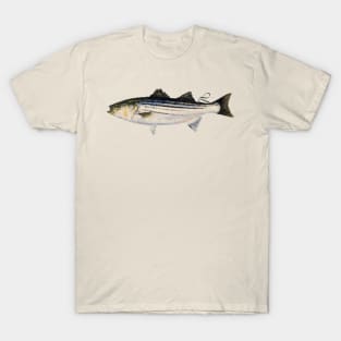 Striper T-Shirt